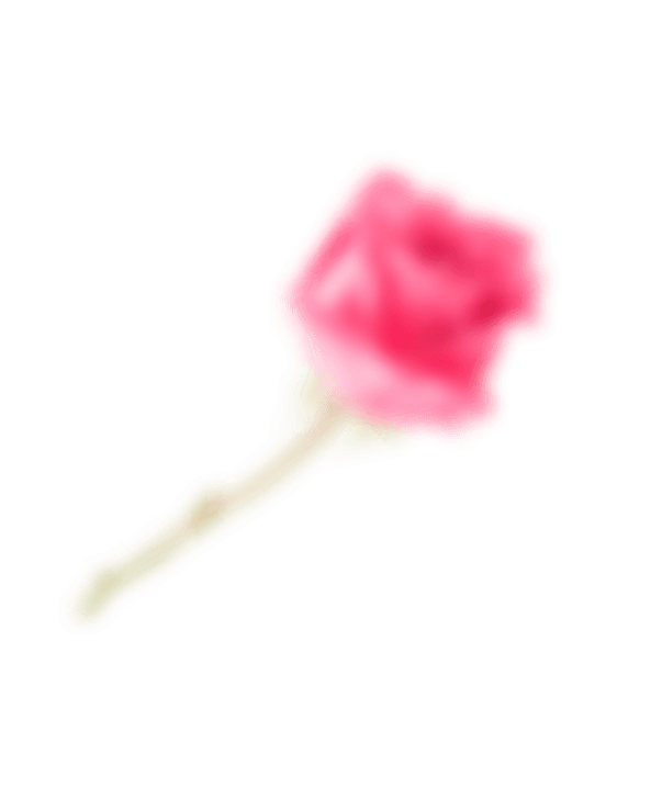 Flower 03.png